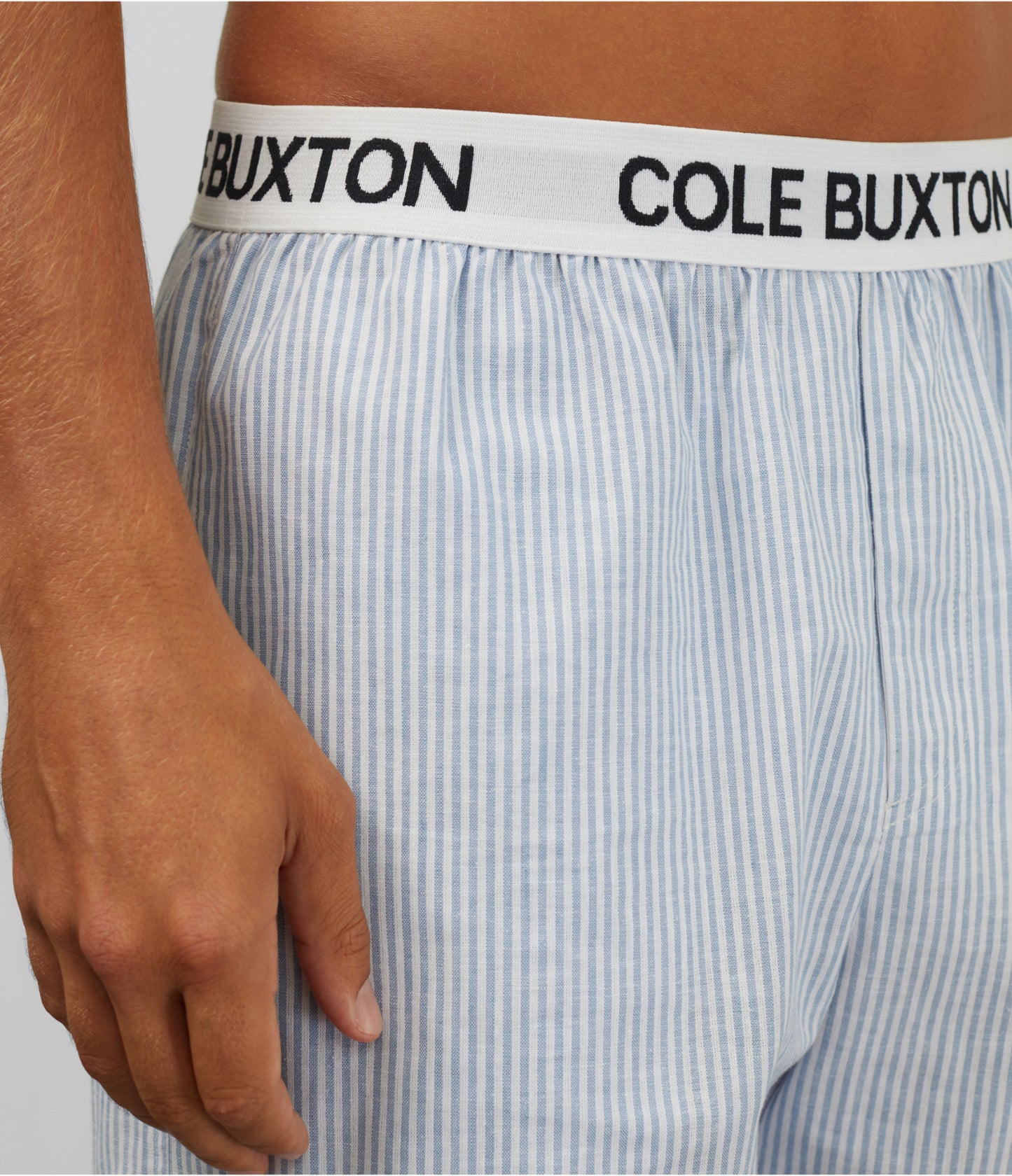 PINSTRIPE SUMMER SHORTS