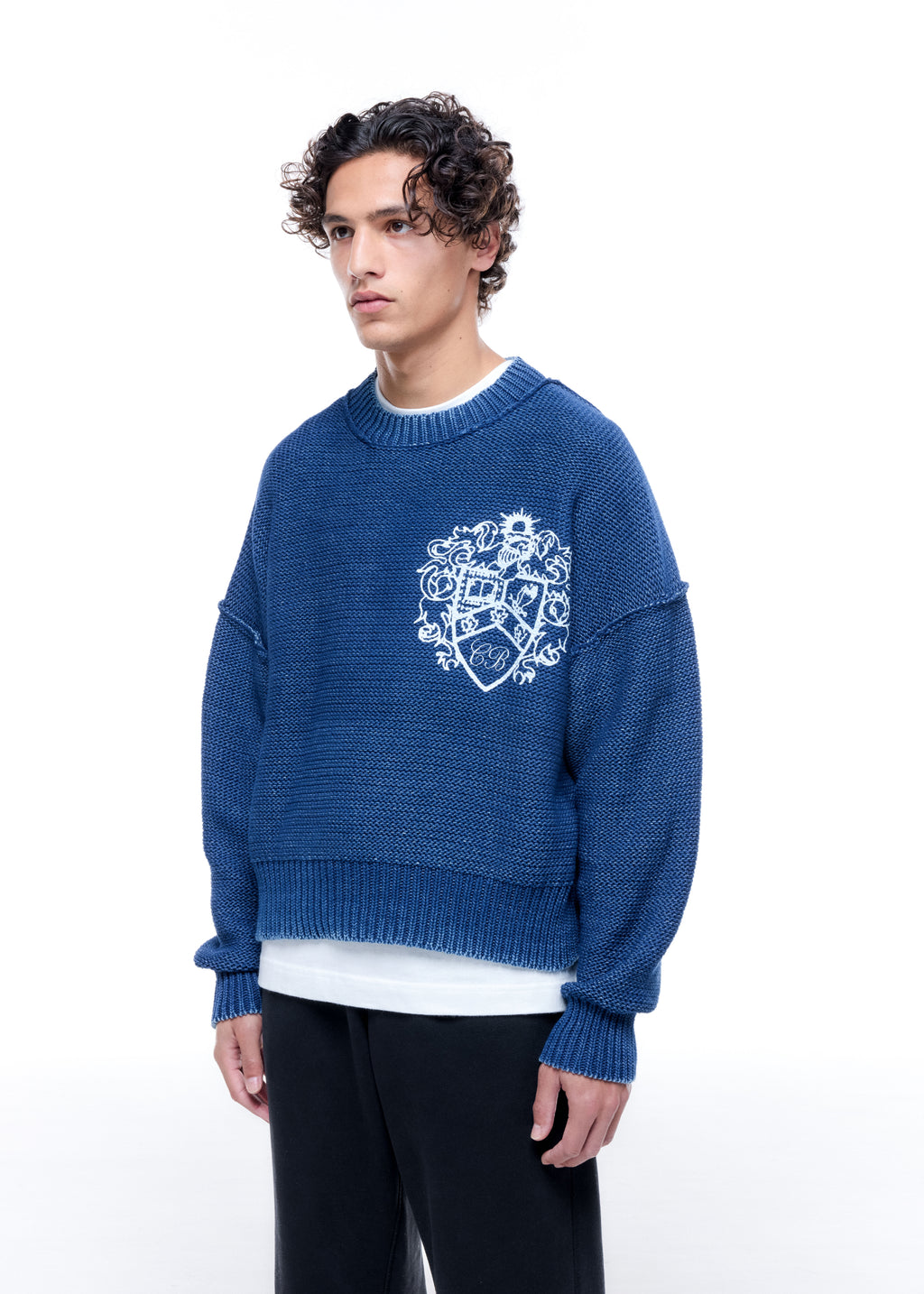 COLLEGIATE CREST KNIT SWEATER