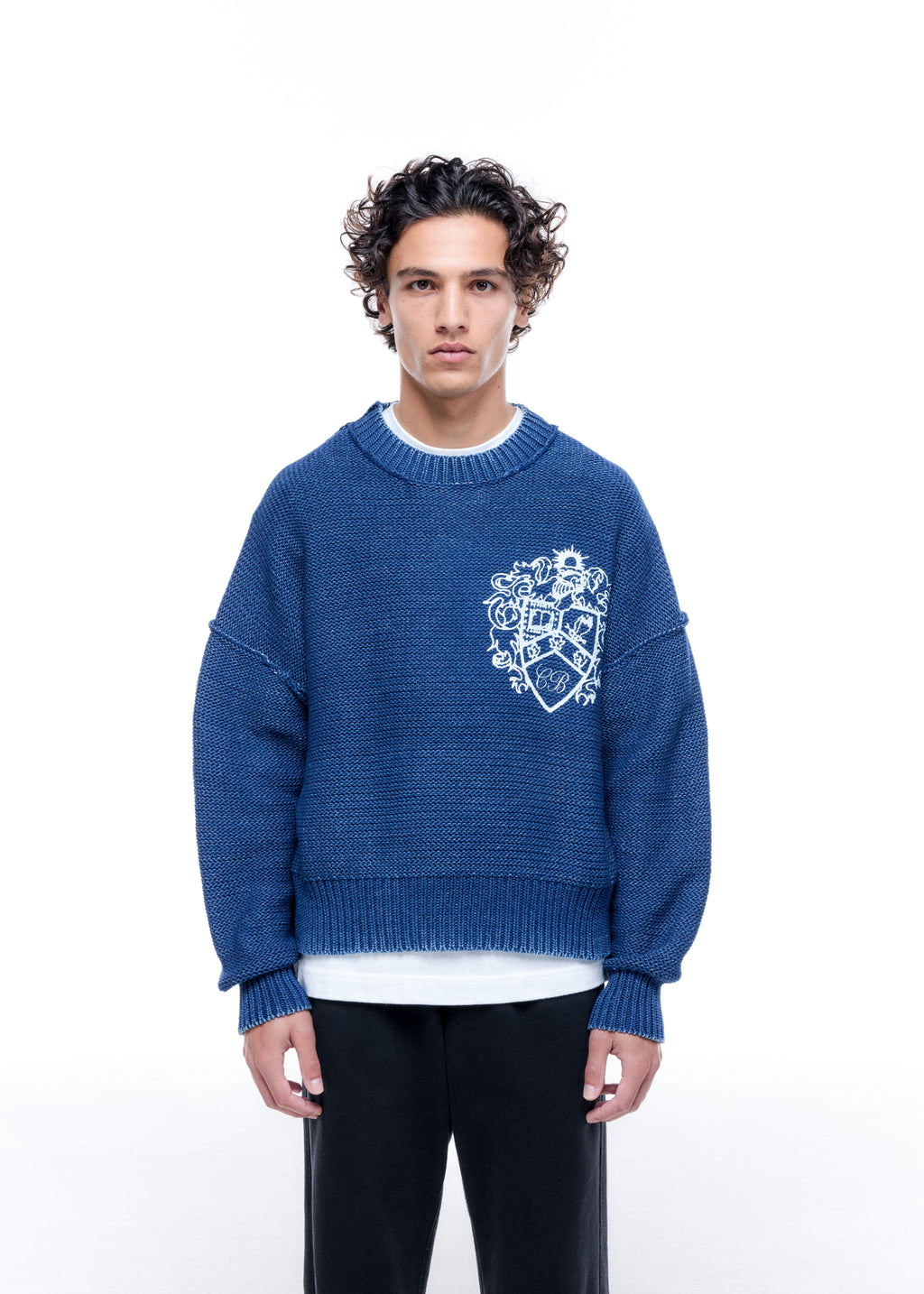 COLLEGIATE CREST KNIT SWEATER