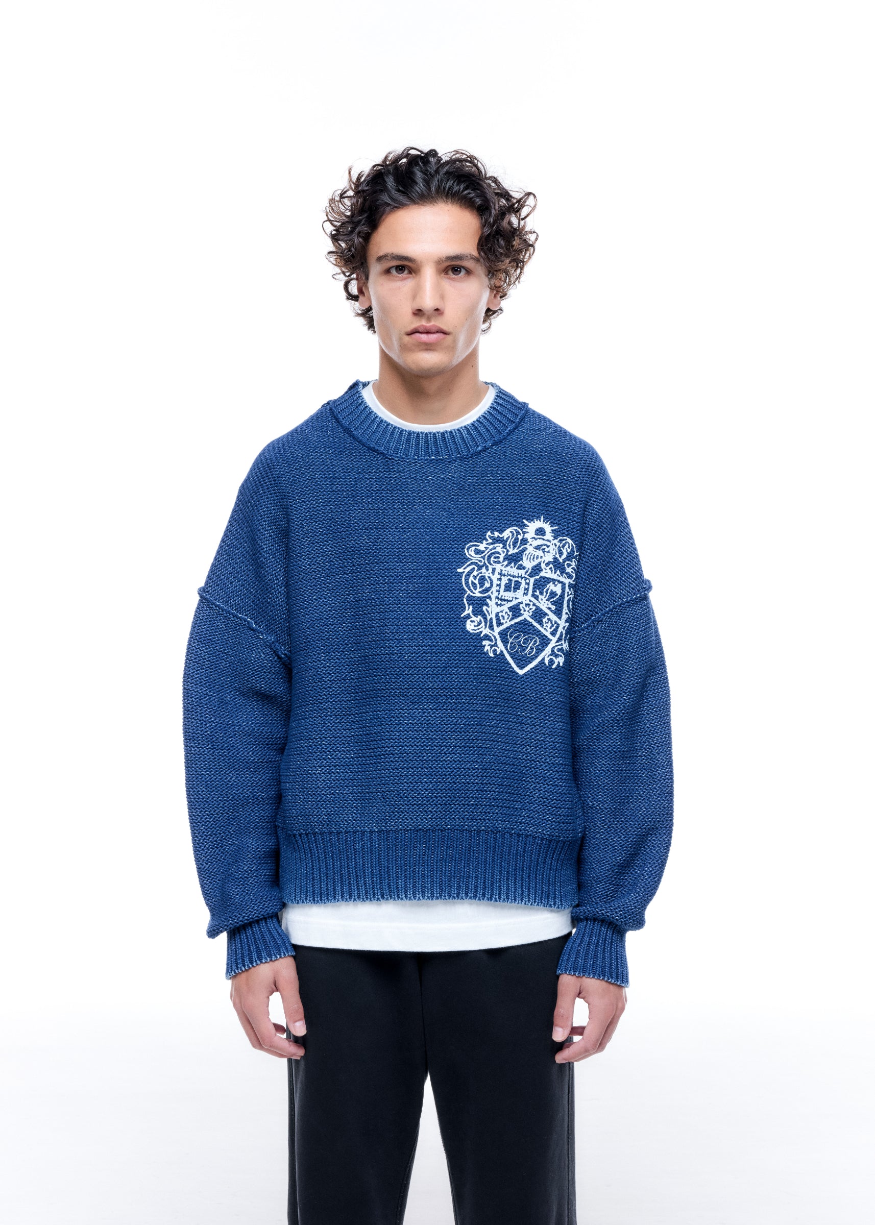 COLLEGIATE CREST KNIT SWEATER