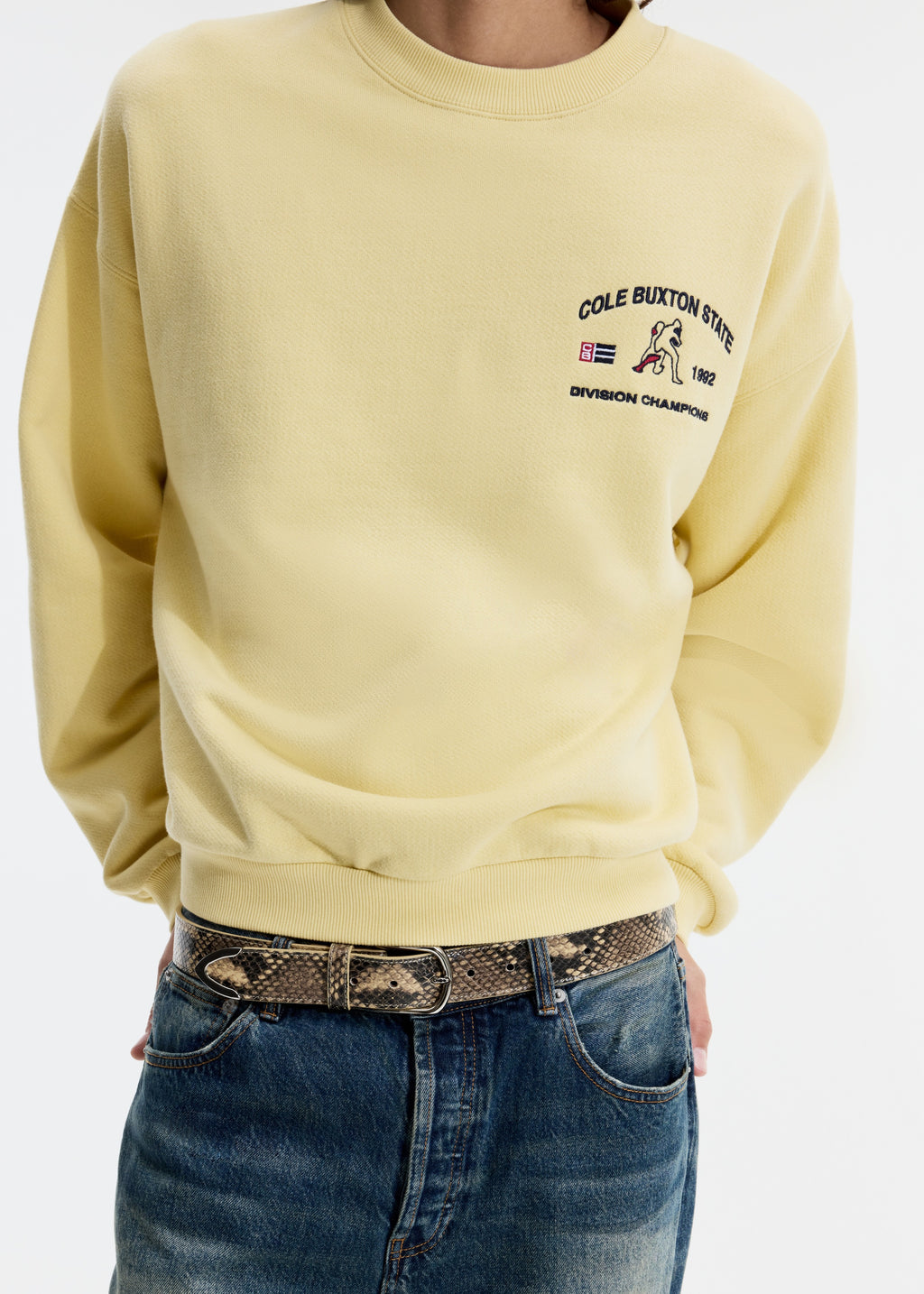 DIVISION CHAMPIONS SWEATSHIRT