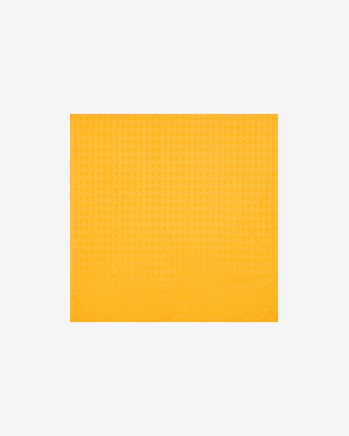 DIAMOND MONOGRAM SCARF