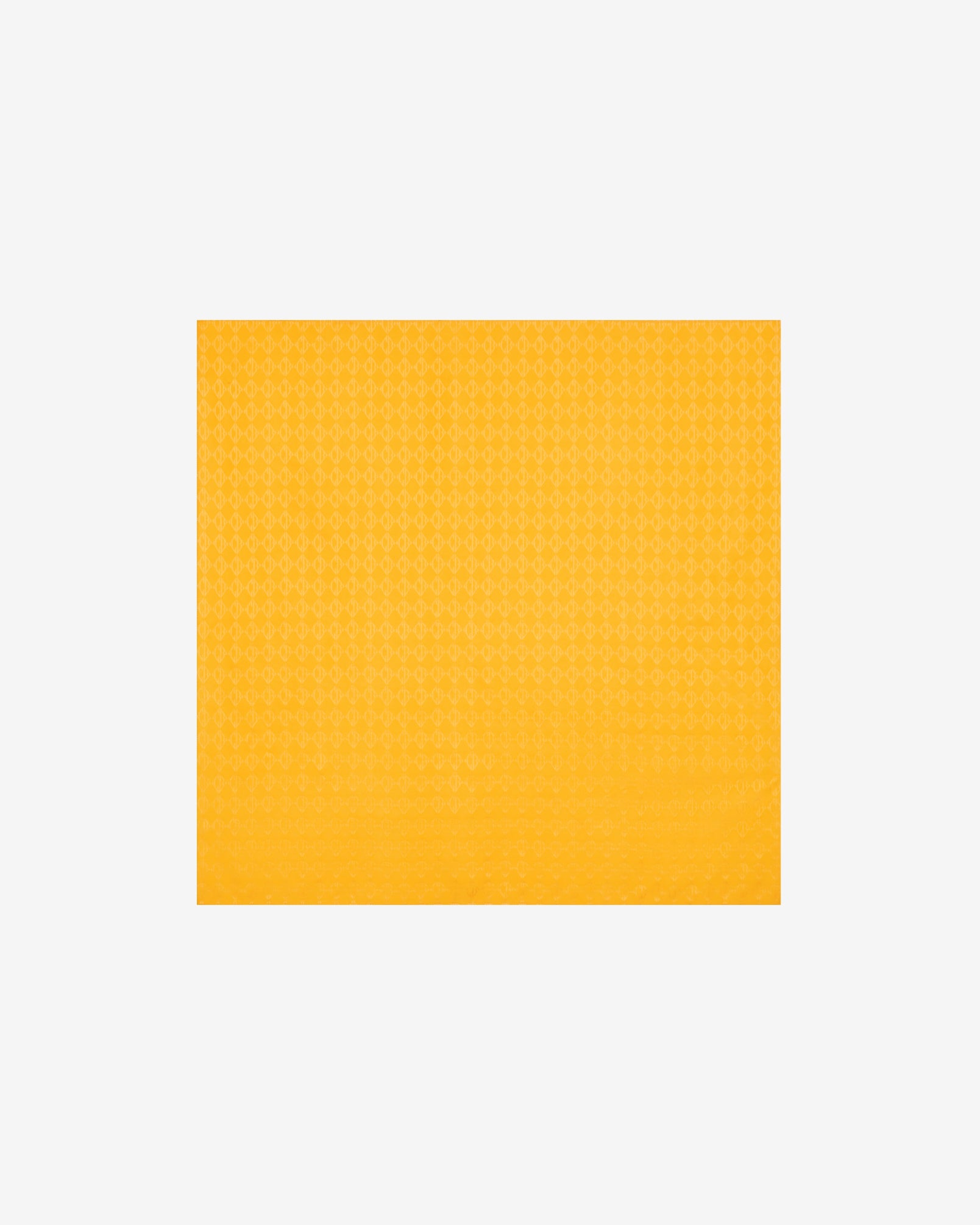 DIAMOND MONOGRAM SCARF