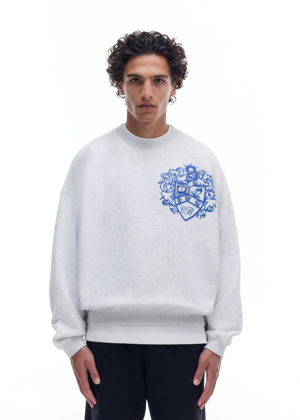 DISTRESSED COLLEGIATE CREST SWEATSHIRT