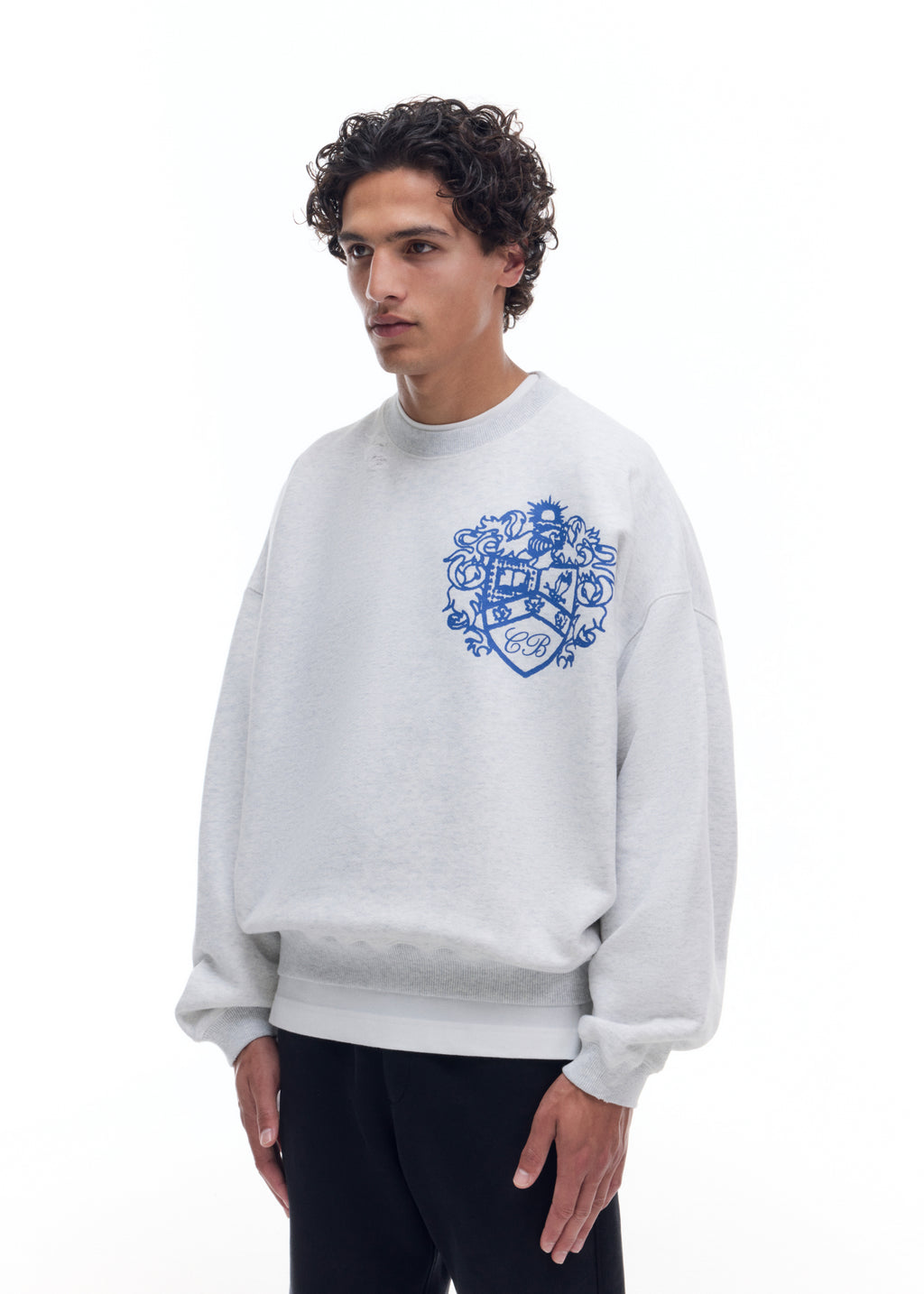 DISTRESSED COLLEGIATE CREST SWEATSHIRT