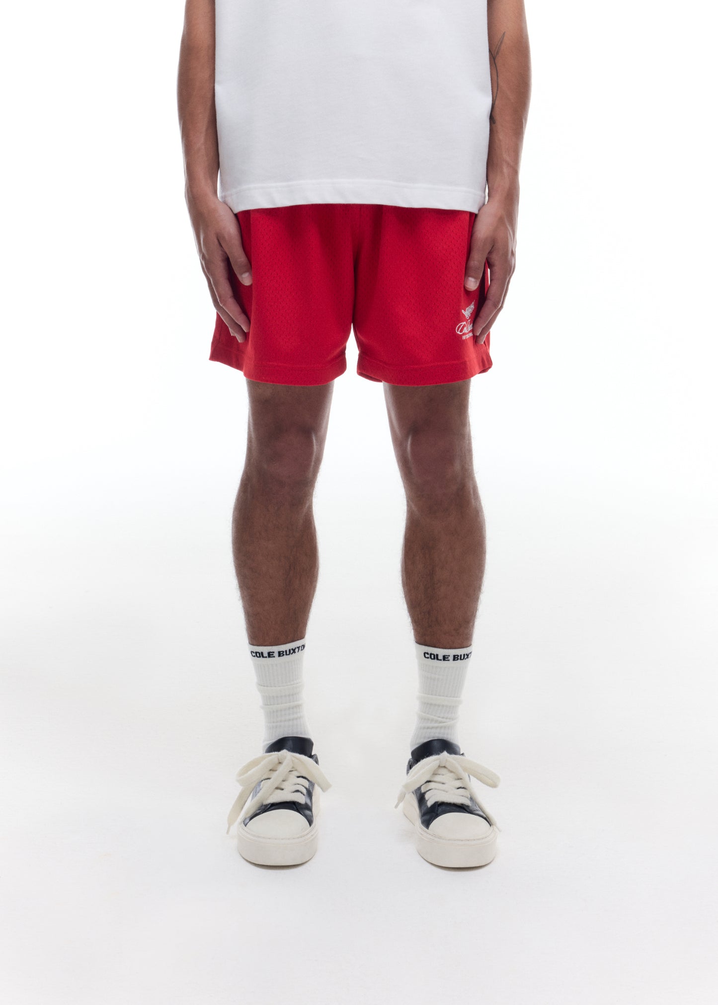 INTERNATIONAL MESH SHORTS