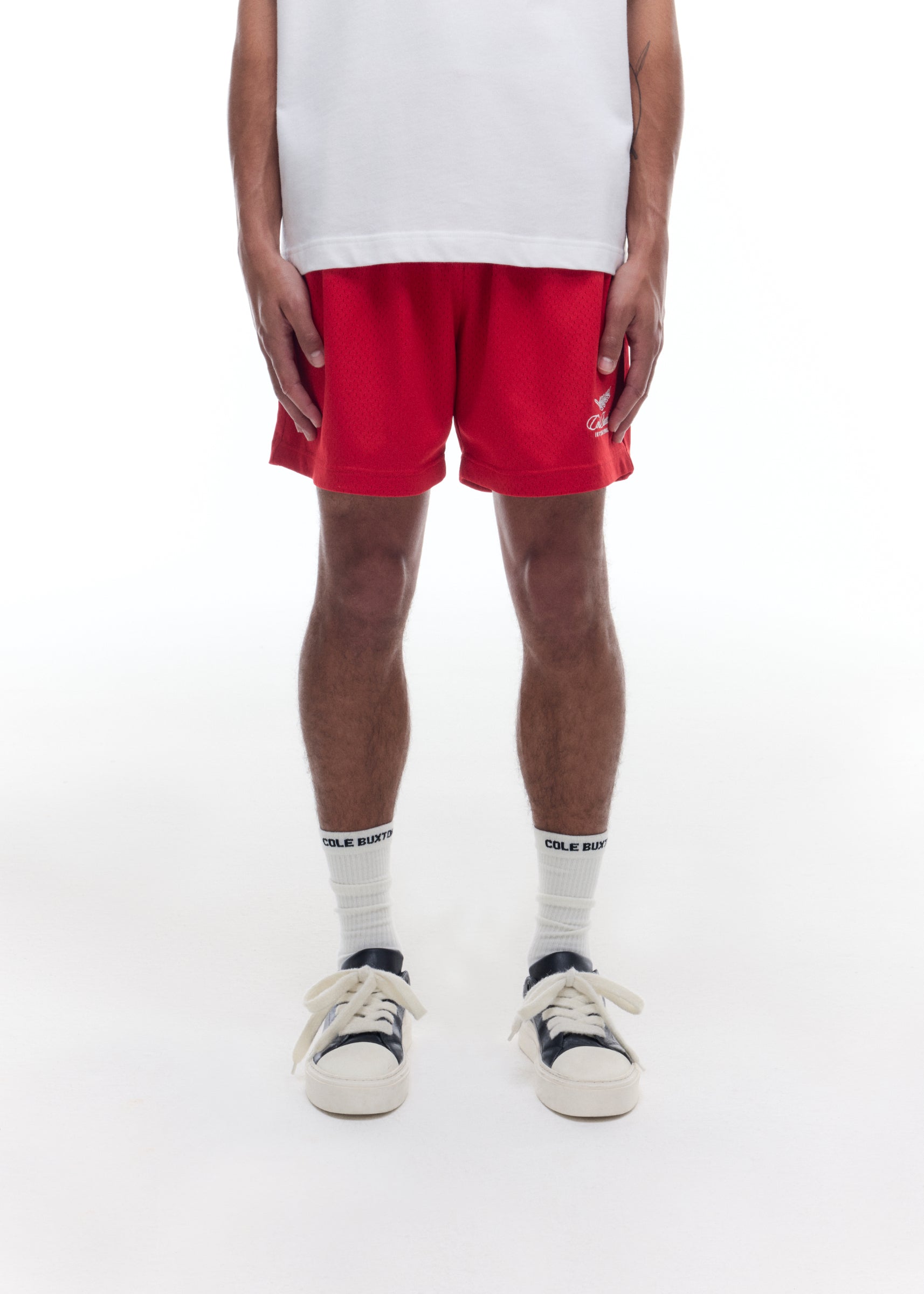 INTERNATIONAL MESH SHORTS