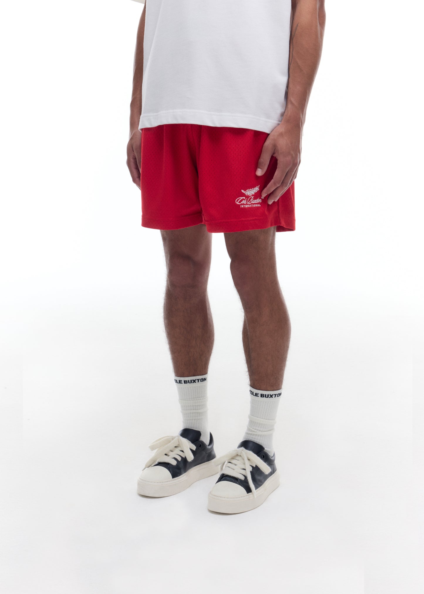 INTERNATIONAL MESH SHORTS