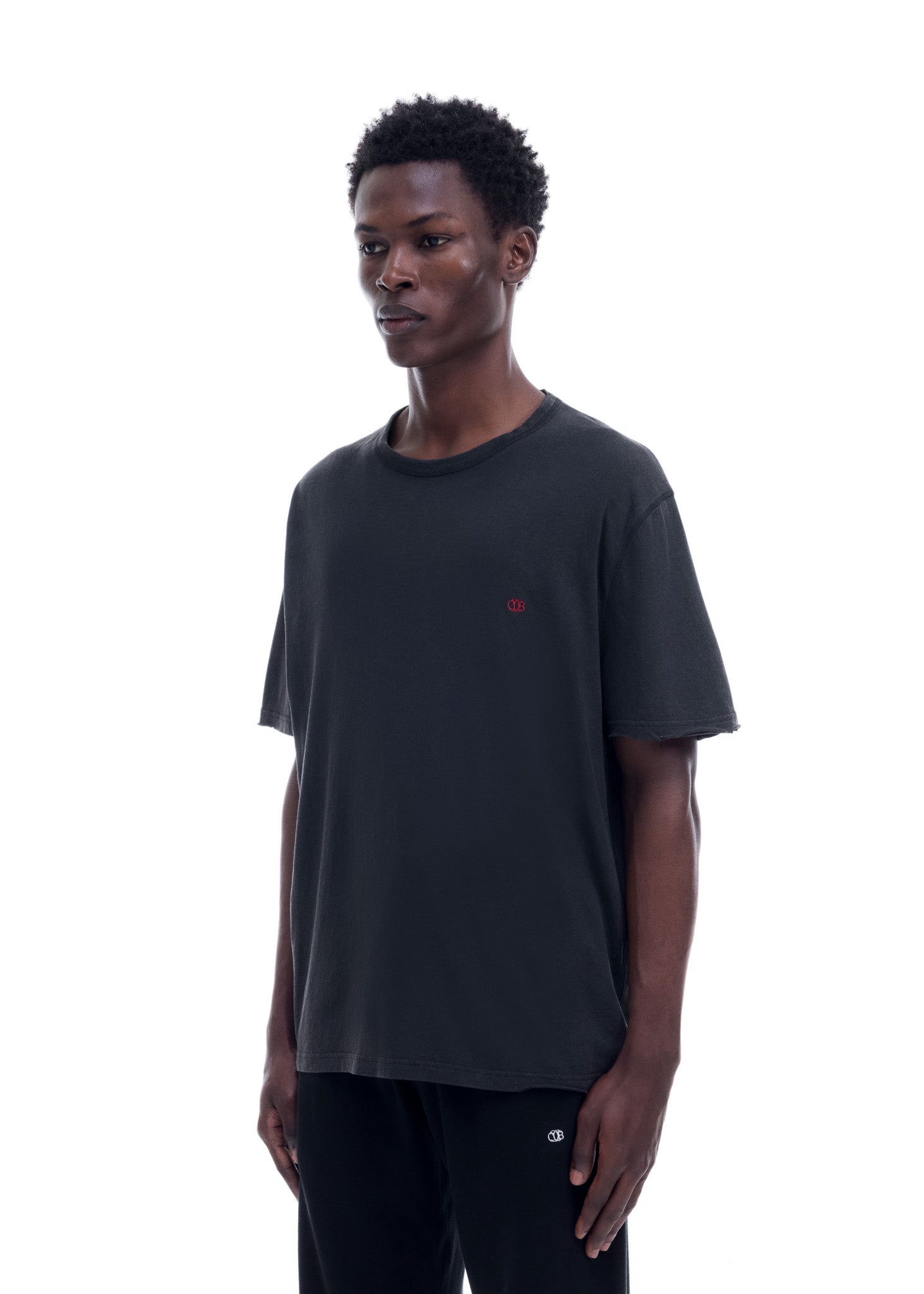 MINI EMBLEM DISTRESSED COLE T-SHIRT