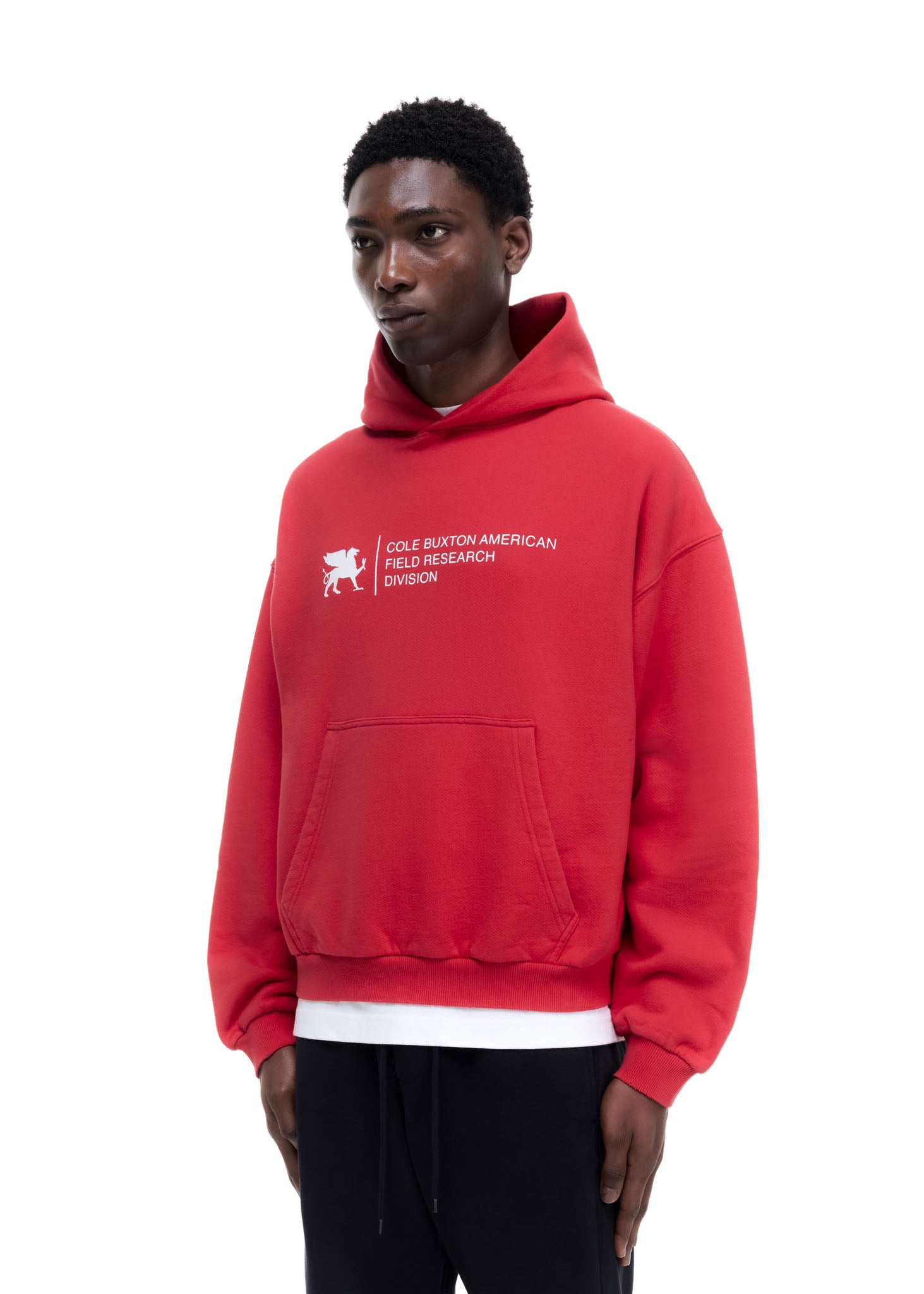 RESEARCH DIVISION HOODIE