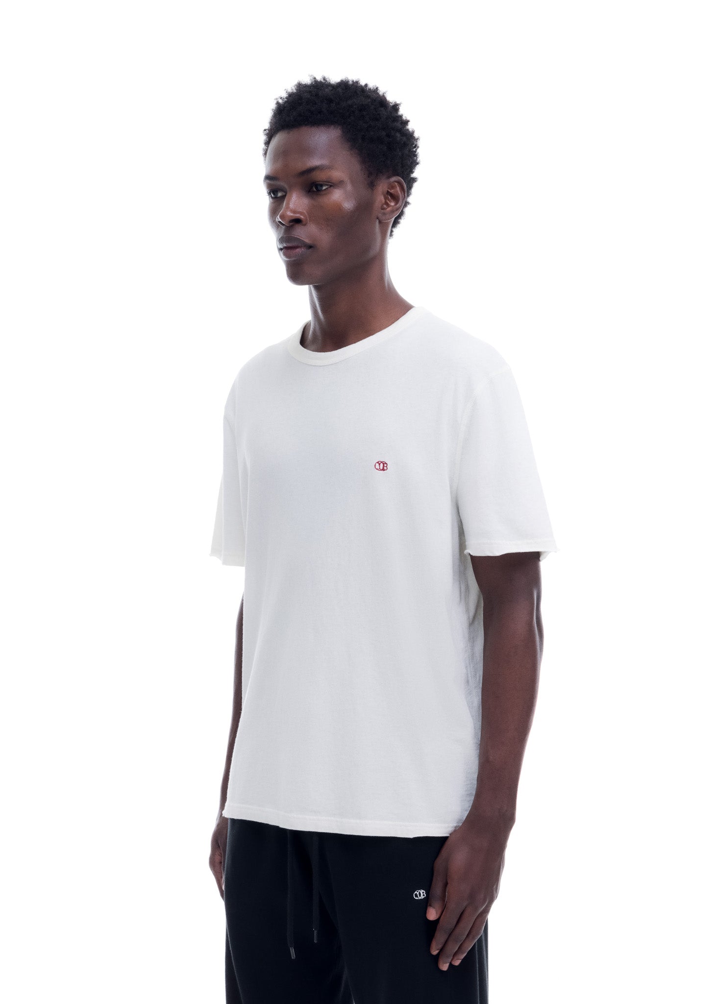 MINI EMBLEM DISTRESSED COLE T-SHIRT